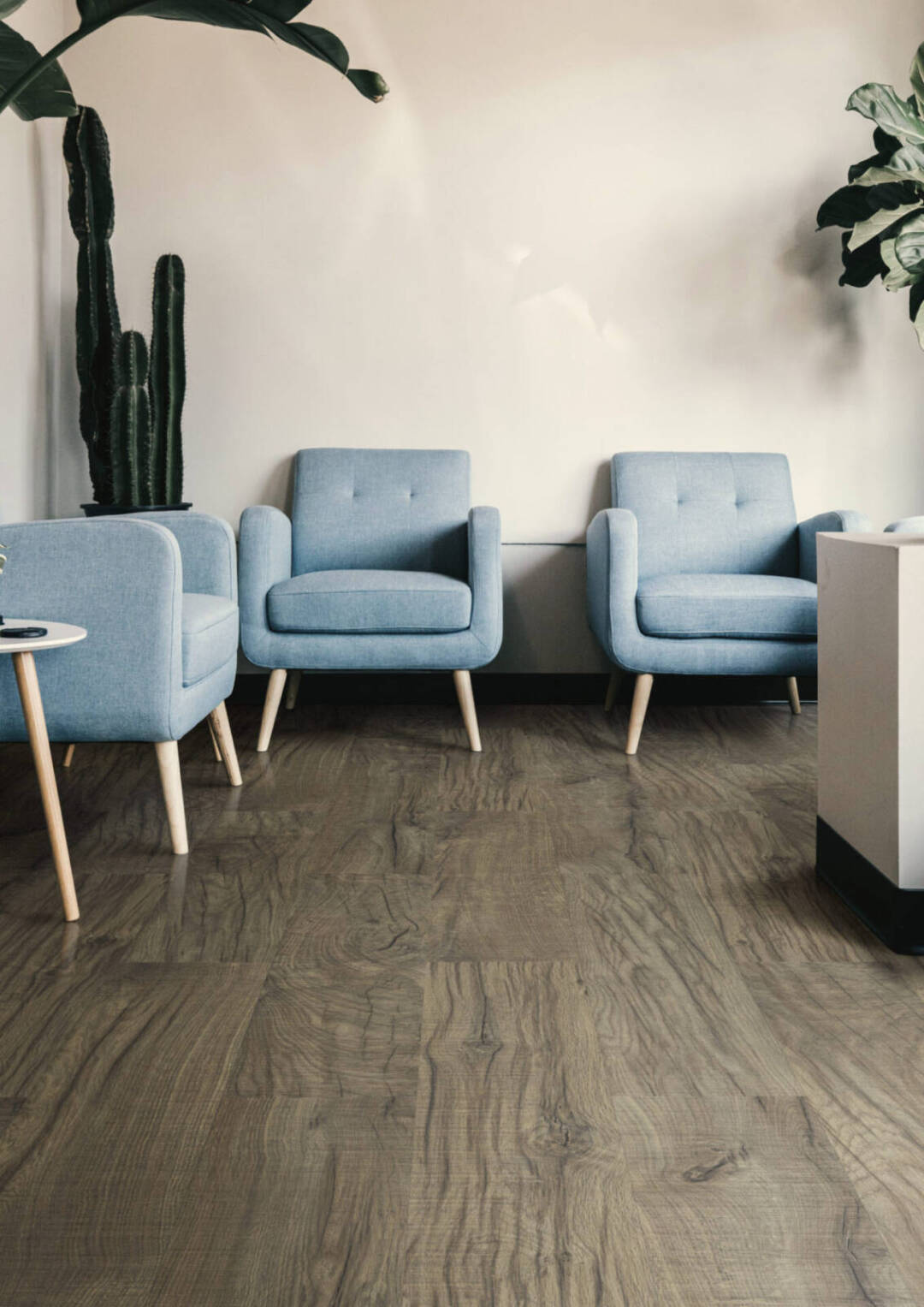 2566 – NAIROBI OAK