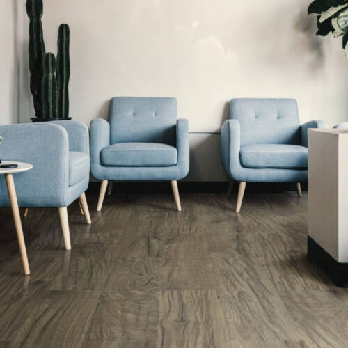 2566 – NAIROBI OAK