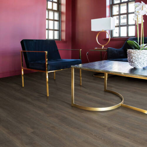 2614 – DECAPE VIOLETE