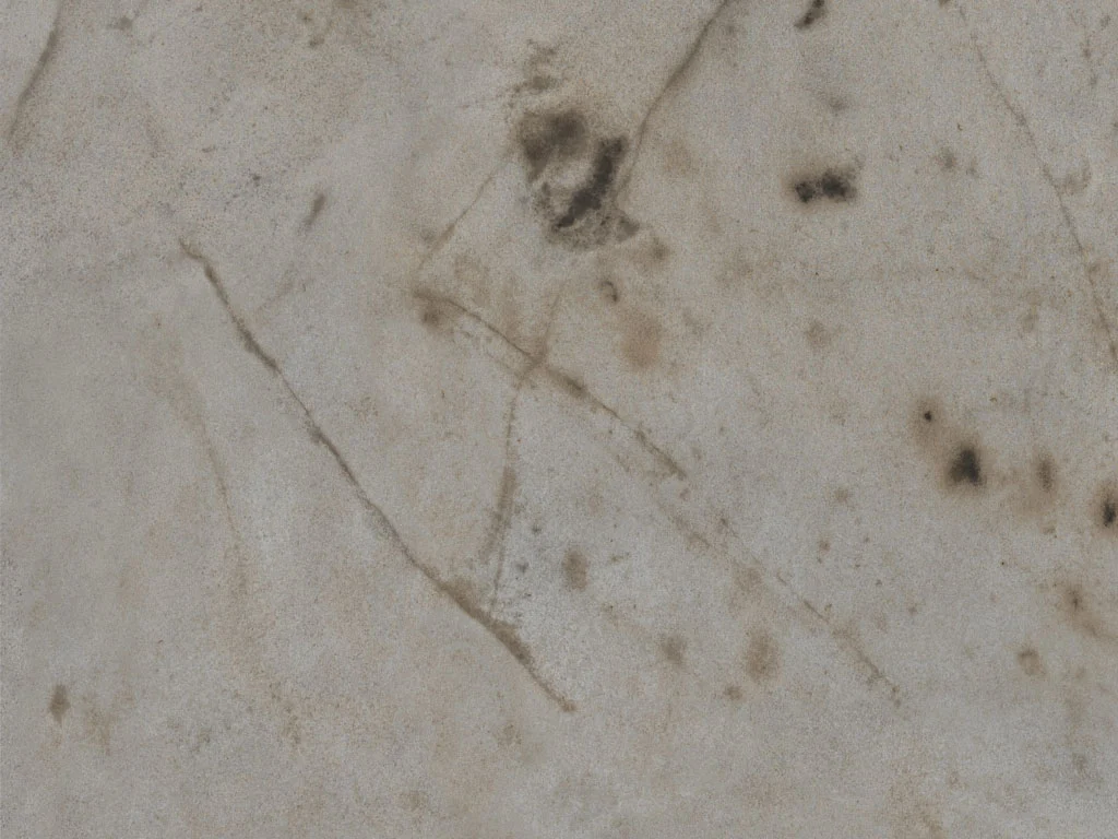 2647-d001