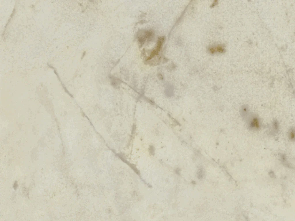 2647-d003