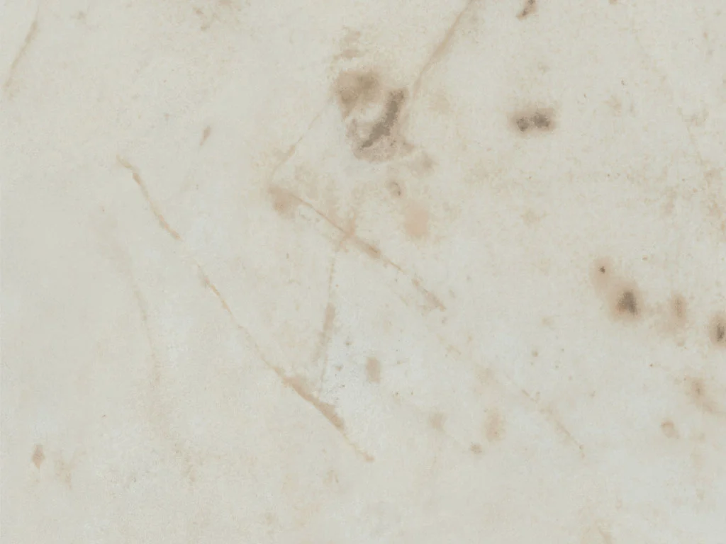 2647-d005