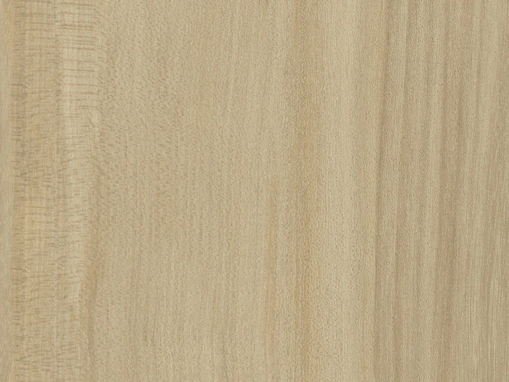 2650-d004