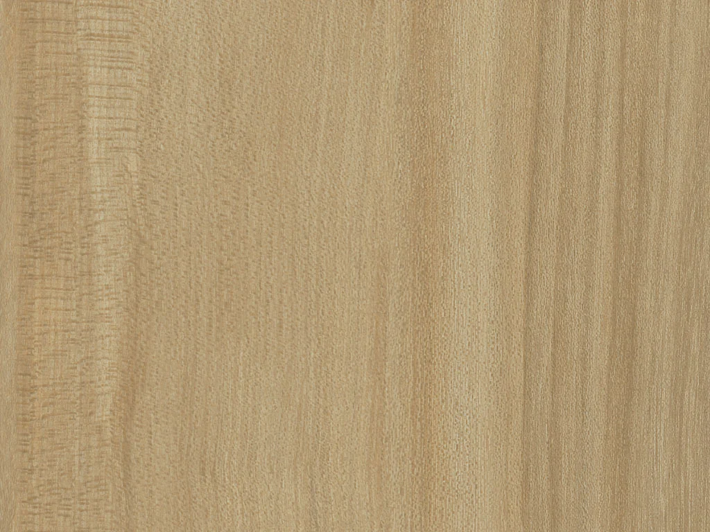 2650-d006