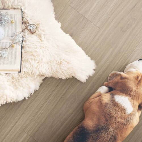 2703 – BURDEO WALNUT